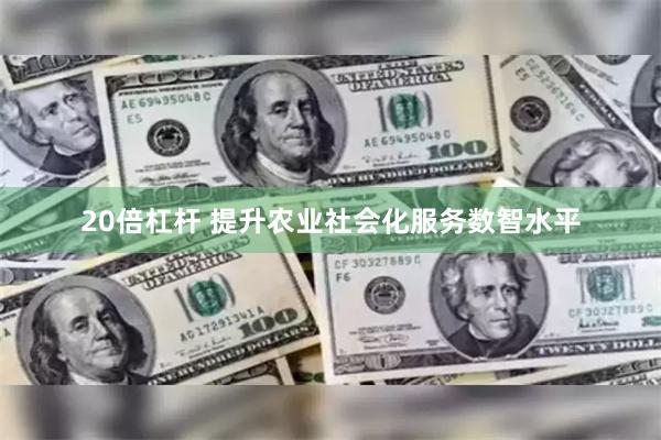 20倍杠杆 提升农业社会化服务数智水平