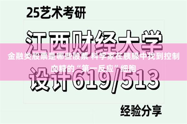 金融类股票是哪些股票 科学家在胰腺中找到控制血糖的“第一反应”细胞