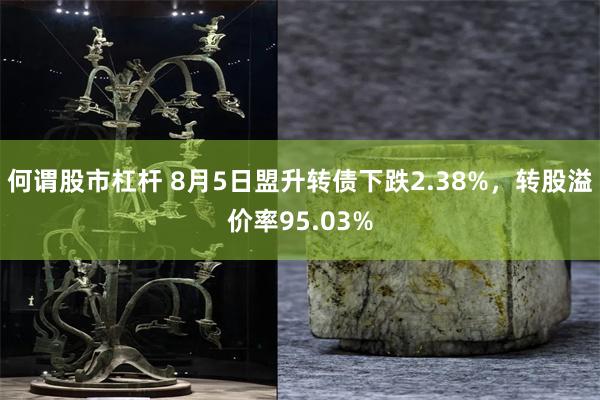 何谓股市杠杆 8月5日盟升转债下跌2.38%，转股溢价率95.03%