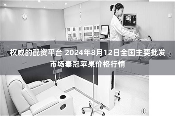 权威的配资平台 2024年8月12日全国主要批发市场秦冠苹果价格行情