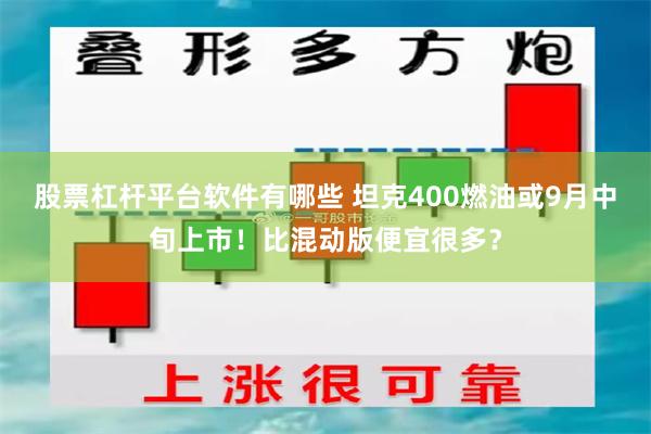 股票杠杆平台软件有哪些 坦克400燃油或9月中旬上市！比混动版便宜很多？