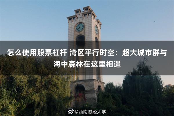 怎么使用股票杠杆 湾区平行时空：超大城市群与海中森林在这里相遇