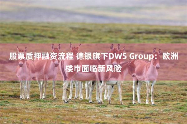 股票质押融资流程 德银旗下DWS Group：欧洲楼市面临新风险