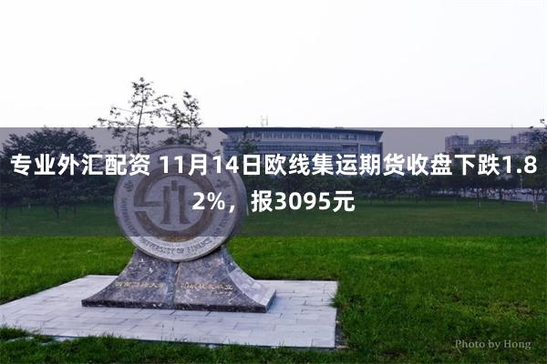 专业外汇配资 11月14日欧线集运期货收盘下跌1.82%，报3095元