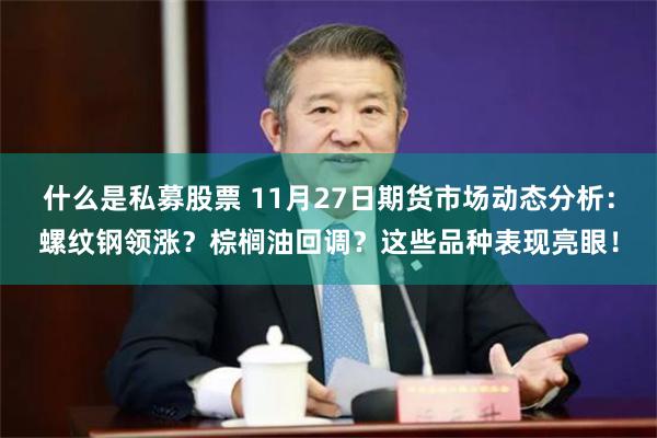 什么是私募股票 11月27日期货市场动态分析：螺纹钢领涨？棕榈油回调？这些品种表现亮眼！