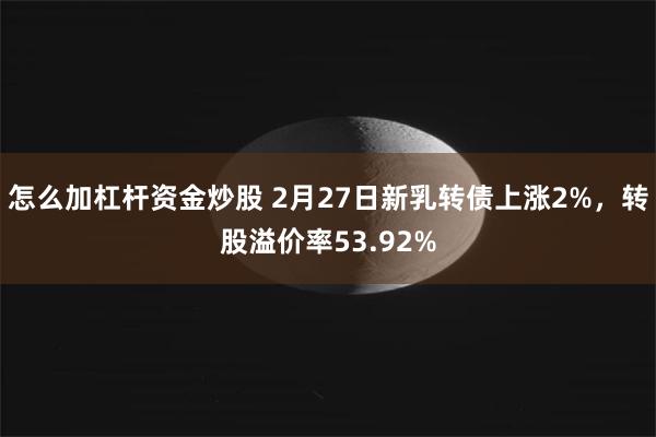 怎么加杠杆资金炒股 2月27日新乳转债上涨2%，转股溢价率53.92%